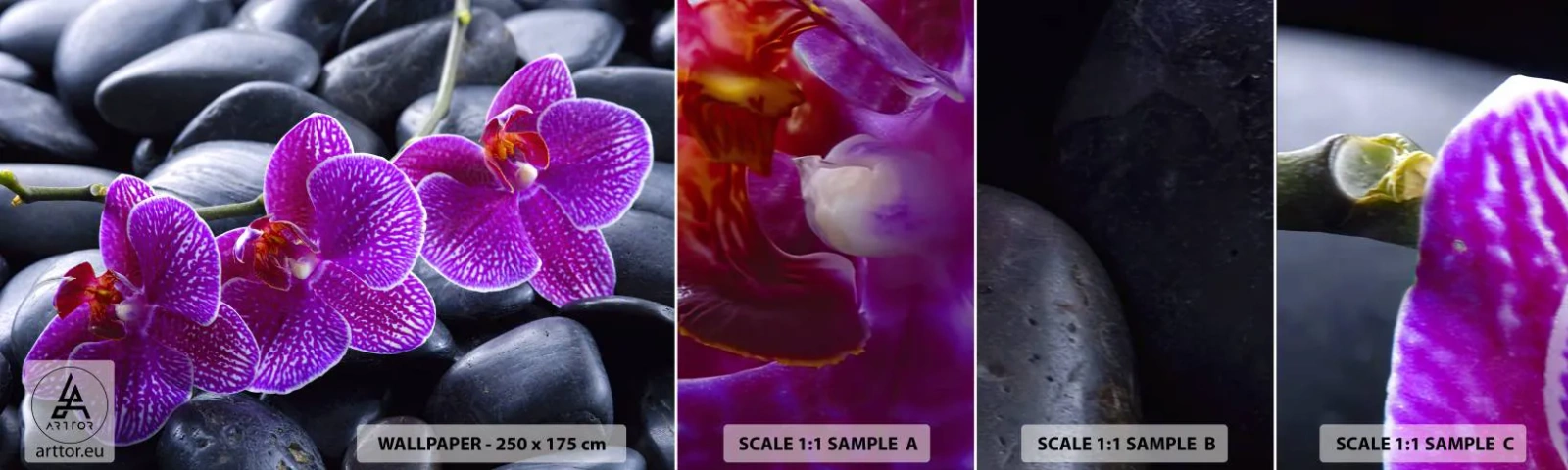 Fotótapéta Minta Standard Eco - A kövek kivilágosodtak az örömtől - Virágok, Kövek, Orchidea - 100x30 cm