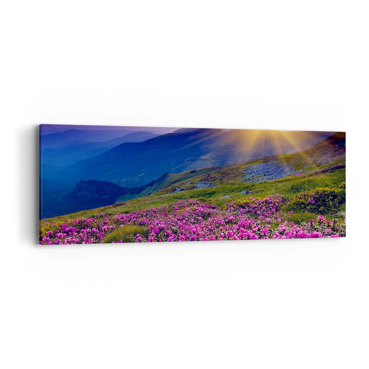 Vászonkép - … És körülötte hegyi fenyő és gyógynövények illata - 90x30 cm