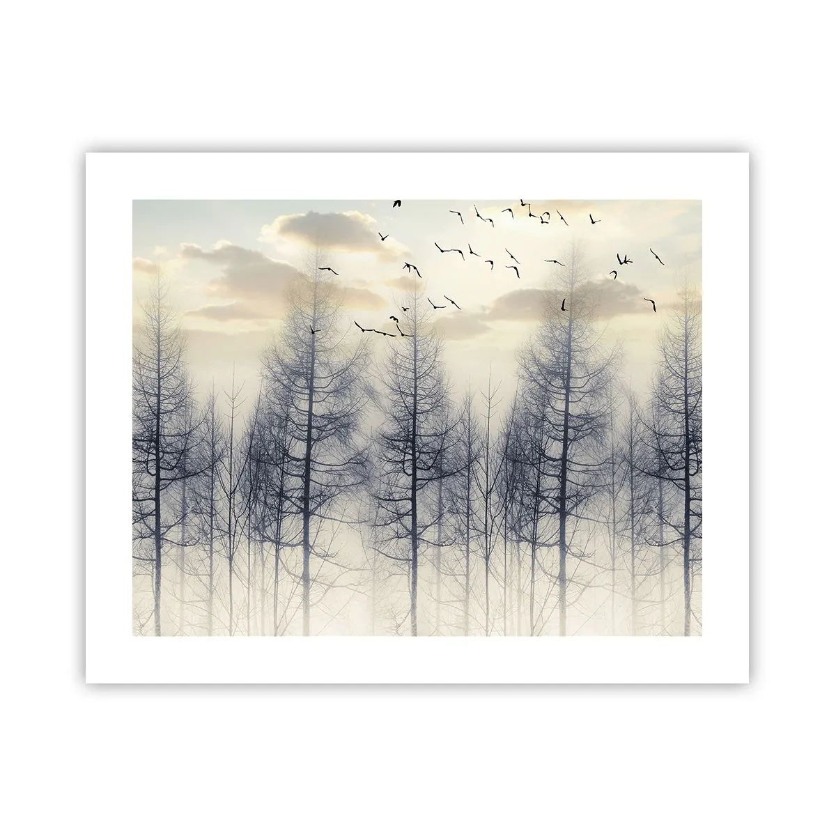 Poszter - Erdei szellemek - 50x40 cm