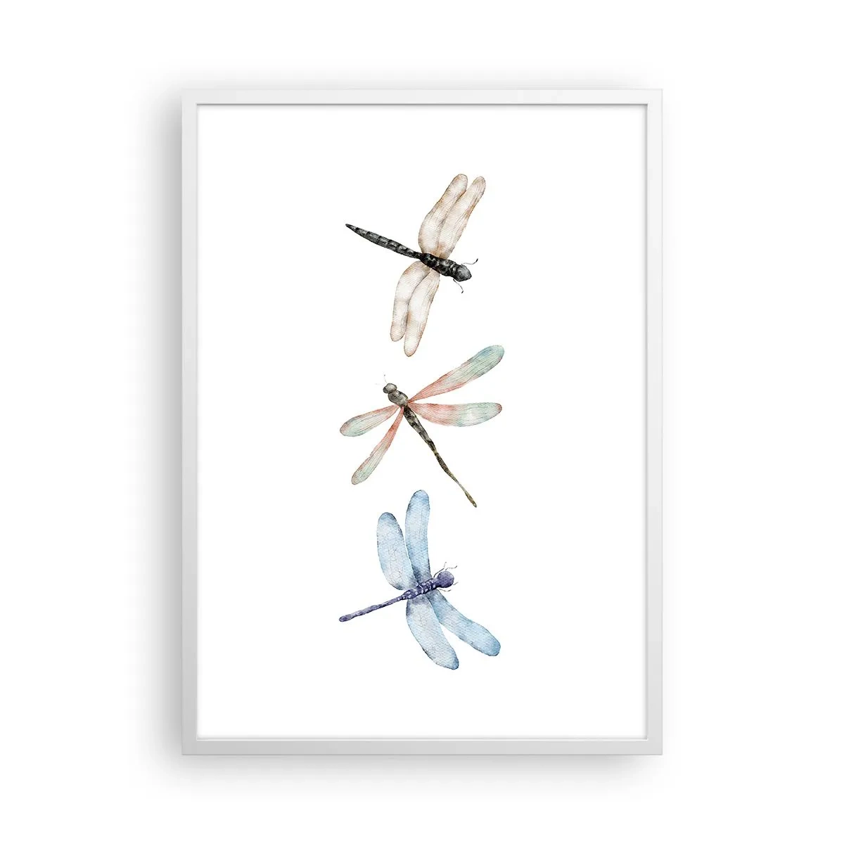 Poszter fekete keretben - Súlytalan szitakötők - 50x70 cm