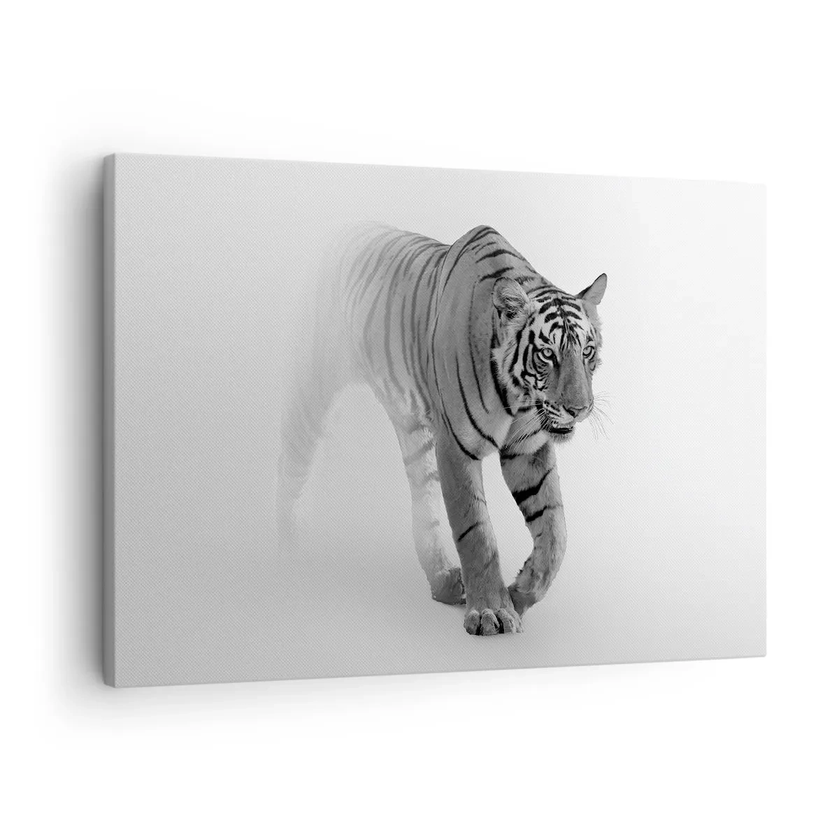 Vászonkép - Egy tigris bukkan elő a ködből - 70x50cm - Elrejtőzik a ködben - Modern fali dekoráció nappalihoz és hálószobához ARTTOR