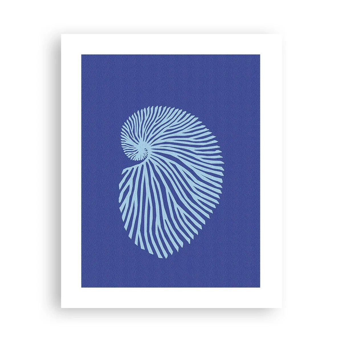 Poszter - Egy kagyló születése - 40x50 cm