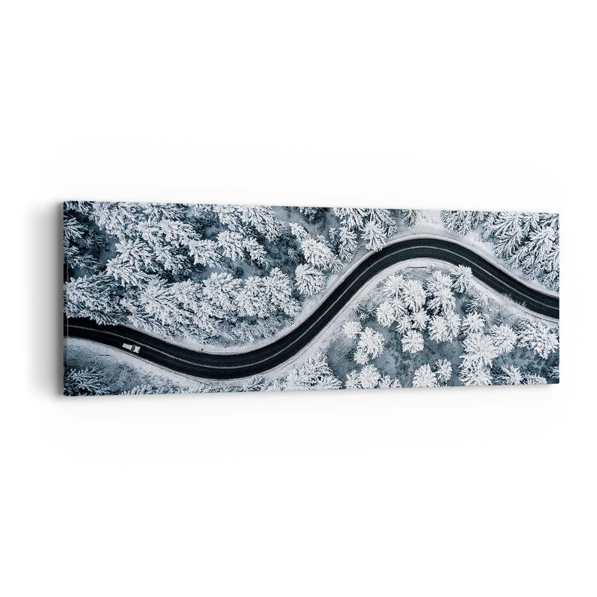 Vászonkép - A téli erdőn - 90x30 cm