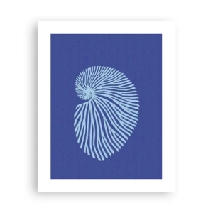 Poszter - Egy kagyló születése - 40x50 cm