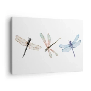 Vászonkép - Három szitakötő finom pasztellszínekben - 70x50cm - Súlytalan szitakötők - Modern fali dekoráció nappalihoz és hálószobához ARTTOR