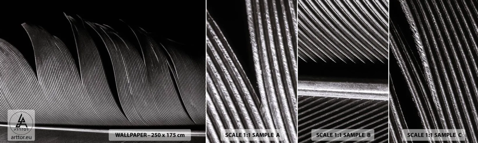 Fotótapéta Minta Standard Eco - Toll - egy csodálatos konstrukció - Toll, Minimalizmus, Könnyűség - 100x30 cm