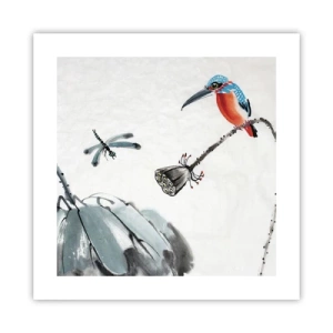 Poszter - A rét élete - 40x40 cm