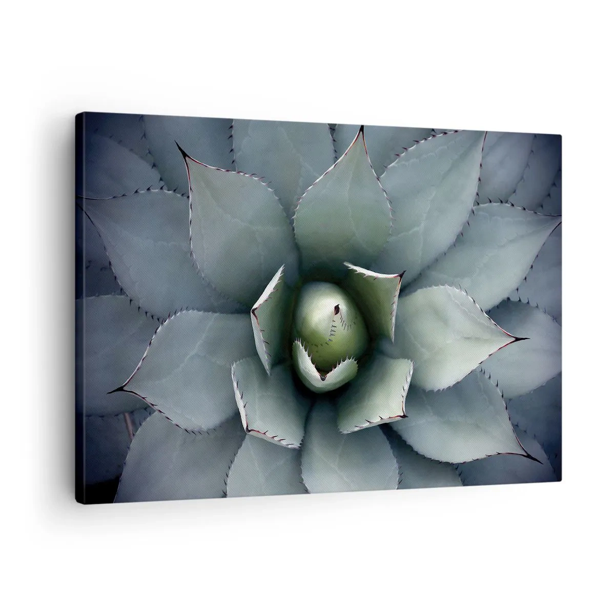 Vászonkép - Finom zöld árnyalatú agavé rozetta közeli képe - 70x50cm - Wabi és figyelmeztetés - Modern fali dekoráció nappalihoz és hálószobához ARTTOR