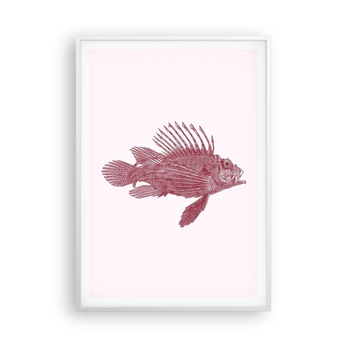 Poszter fekete keretben - Egzotikus vizek lakója - 70x100 cm