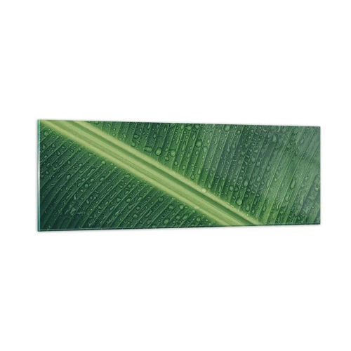 Üveg kép - A növényzet szerkezete - 90x30 cm