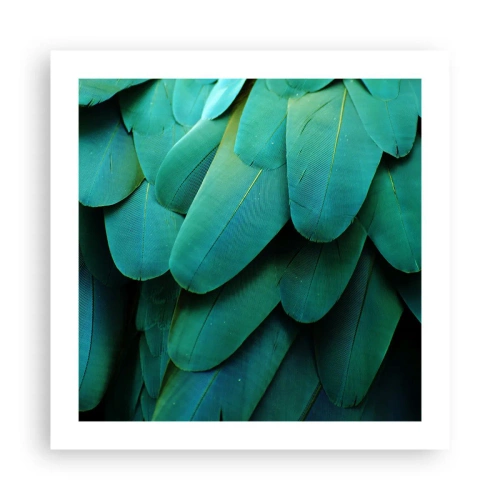 Poszter - A papagájtermészet precizitása - 50x50 cm