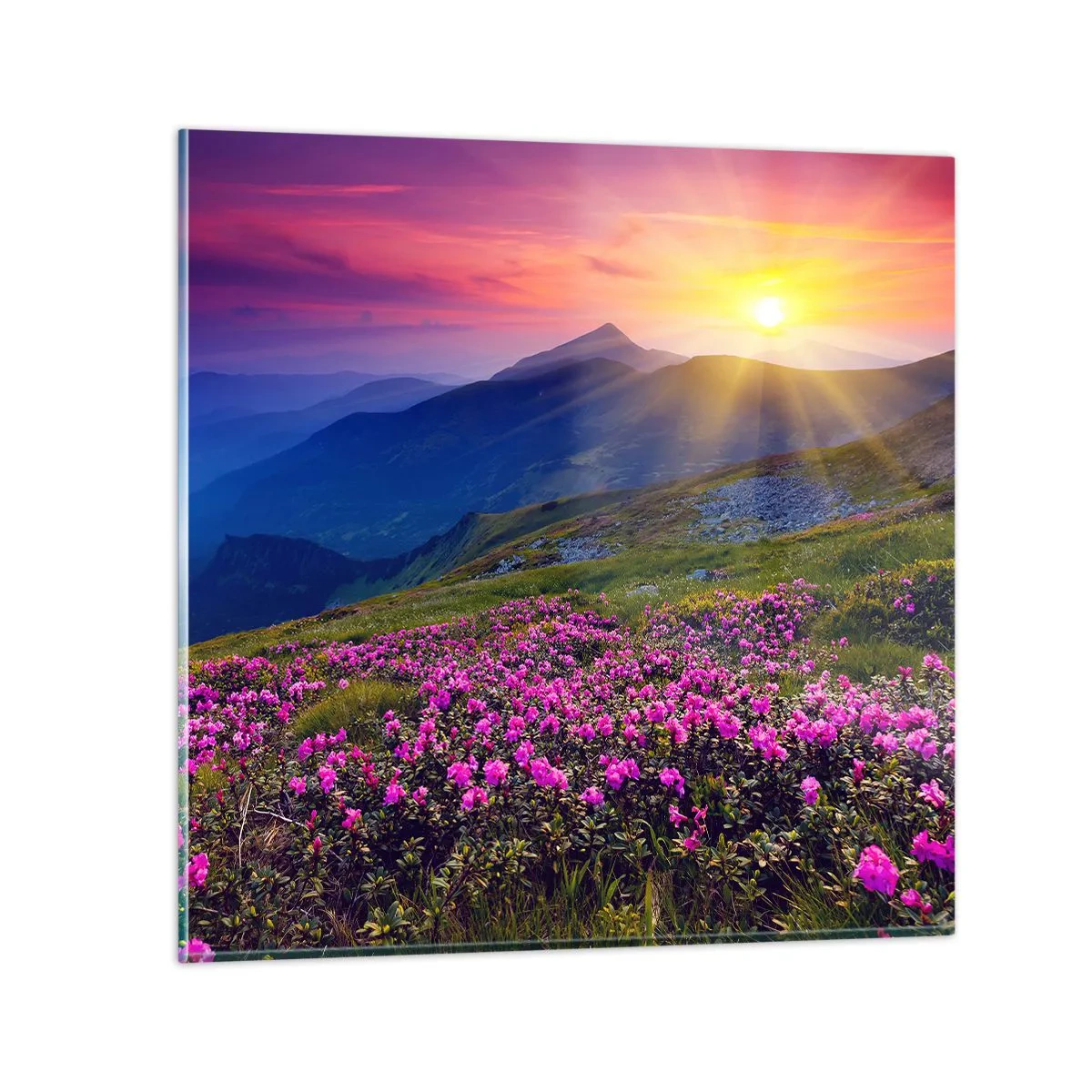 Üveg kép - … És körülötte hegyi fenyő és gyógynövények illata - 40x40 cm