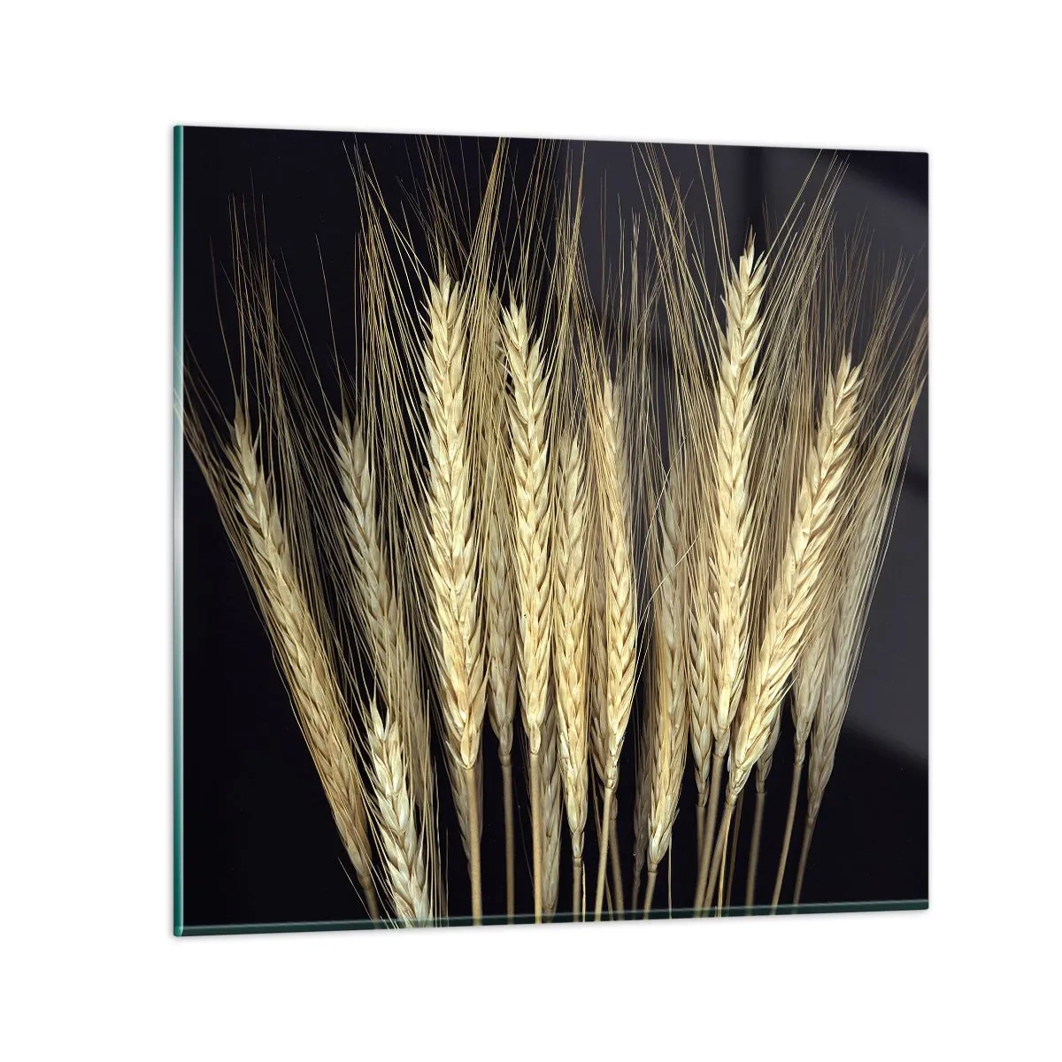 Üveg kép - Rusztikus varázslat - 70x70 cm