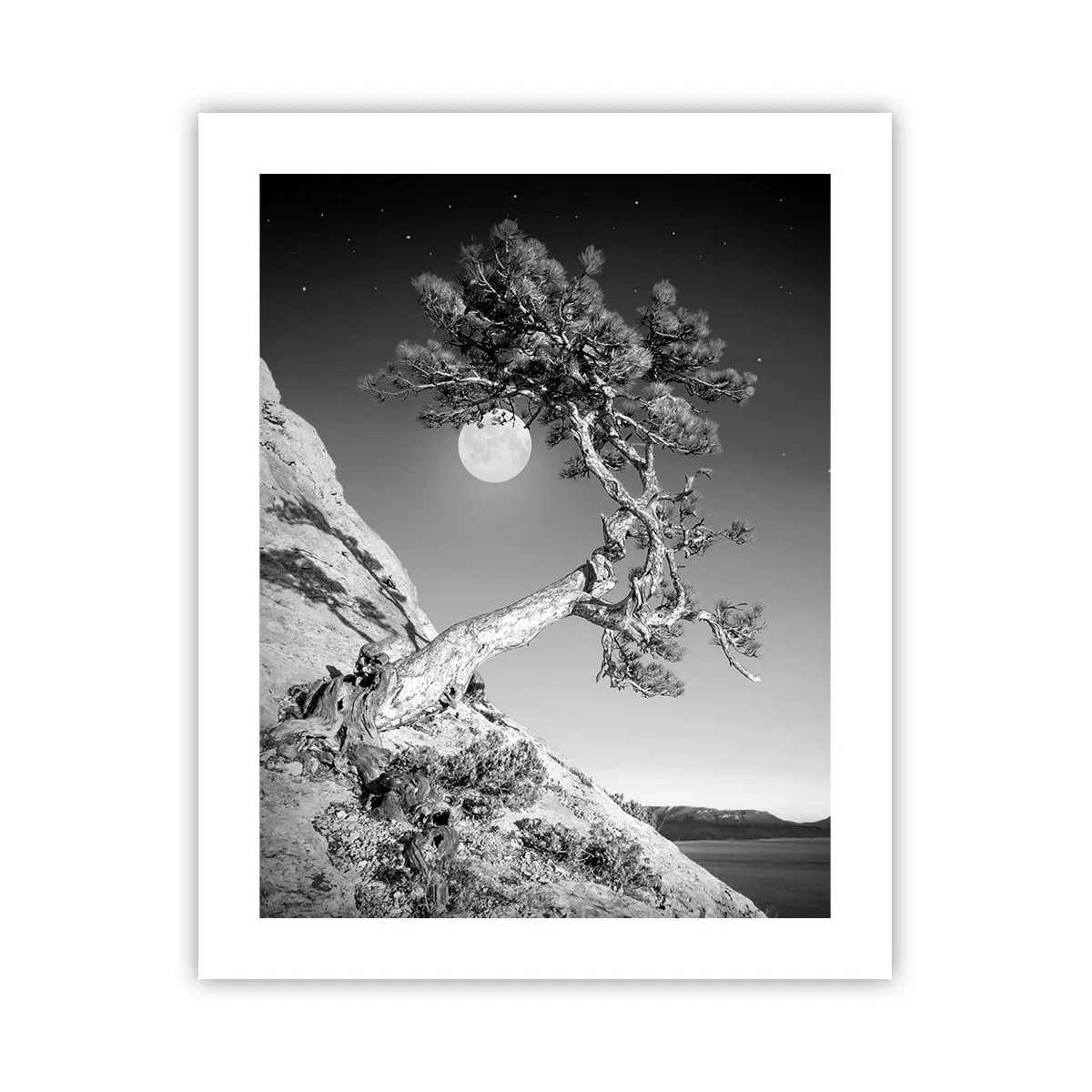 Poszter - Győztes harcos - 40x50 cm