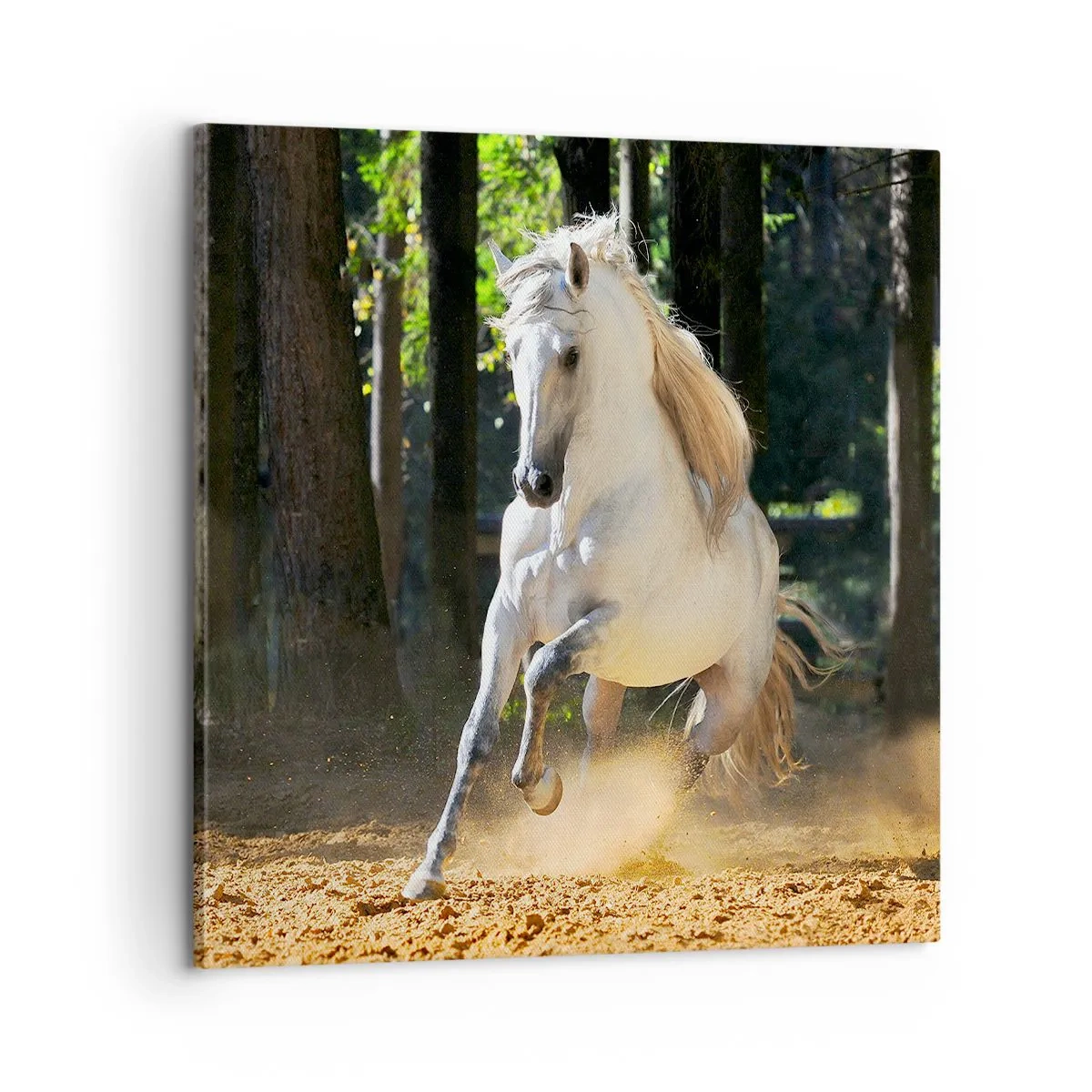 Vászonkép - Mint egy fantasy regényből - 60x60 cm