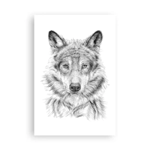 Poszter - Született vezető - 61x91 cm