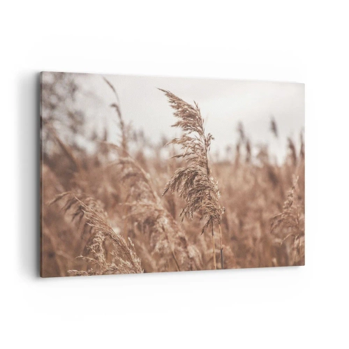 Vászonkép - Ősz van már a mezőkön - 100x70 cm