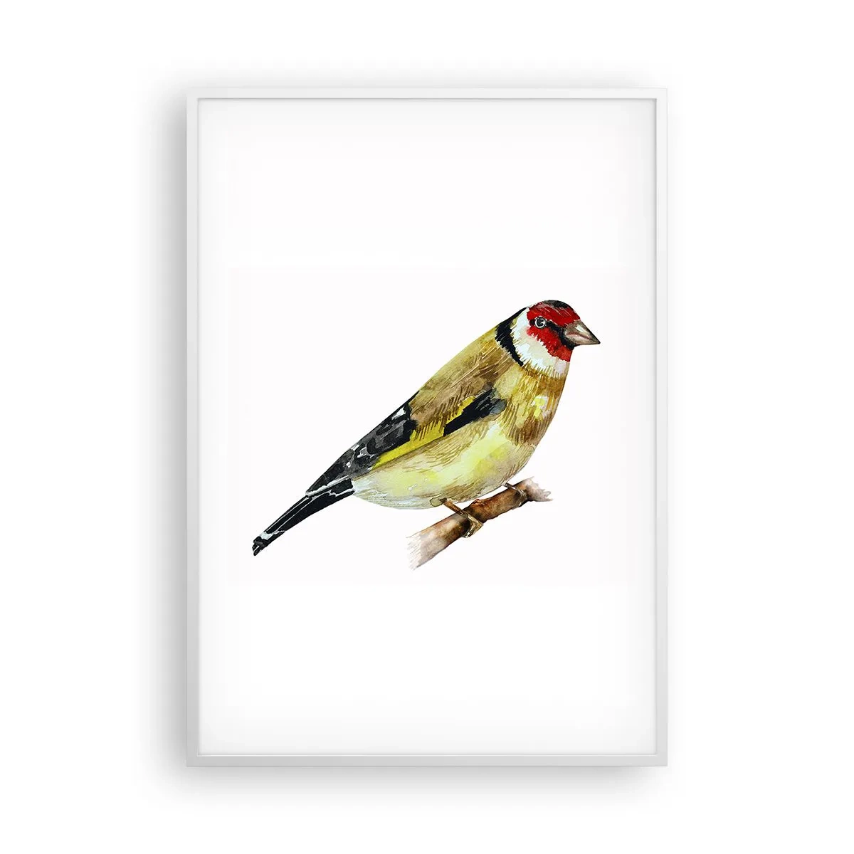 Poszter fekete keretben - Madárportré - 70x100 cm