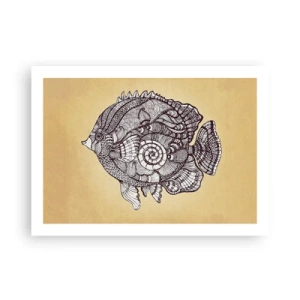 Poszter - A díszek óceánjából - 70x50 cm