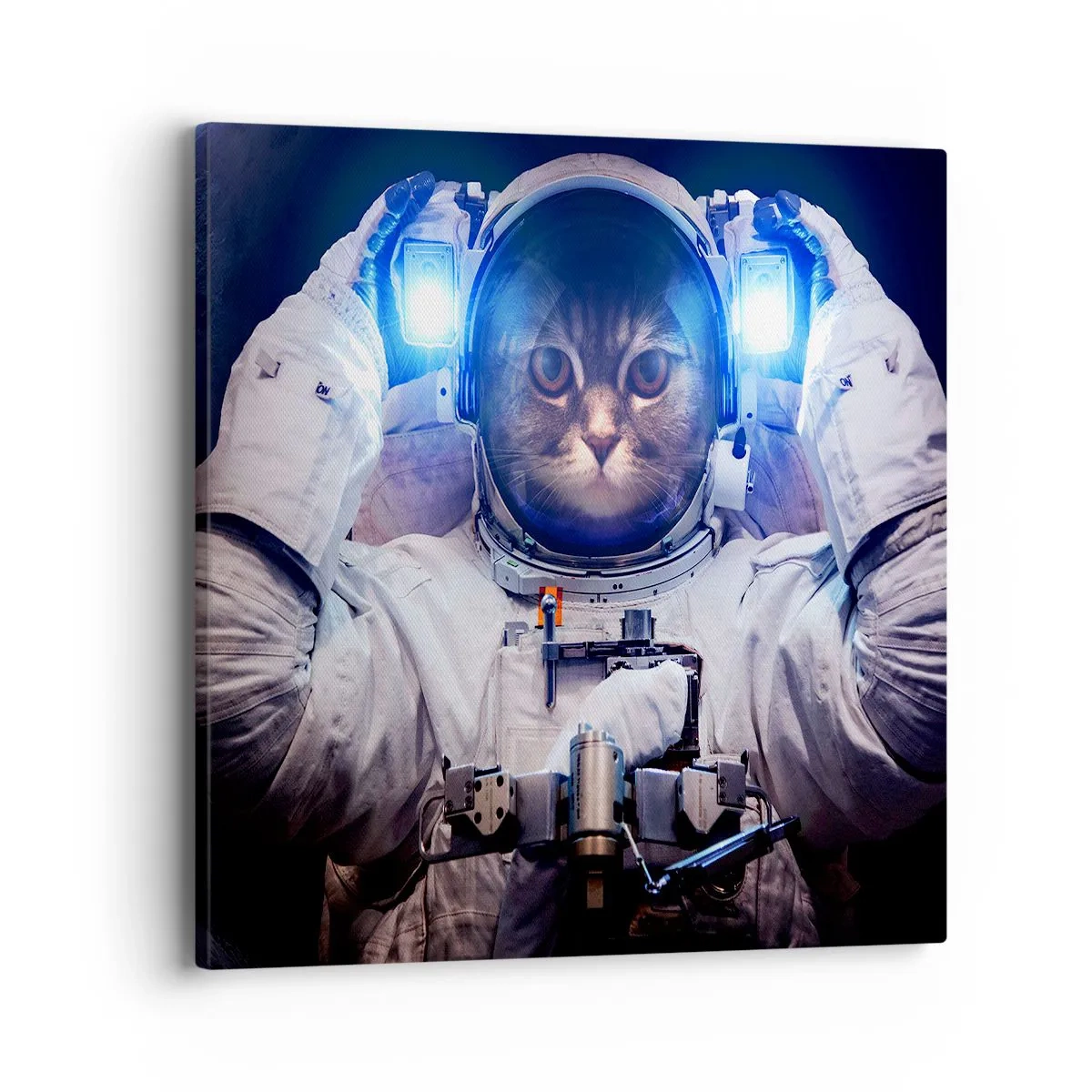 Vászonkép - Houston, baj van - 40x40 cm