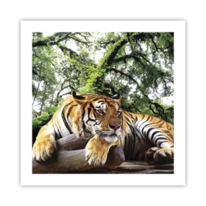 Poszter - Tisztelettel - 50x50 cm