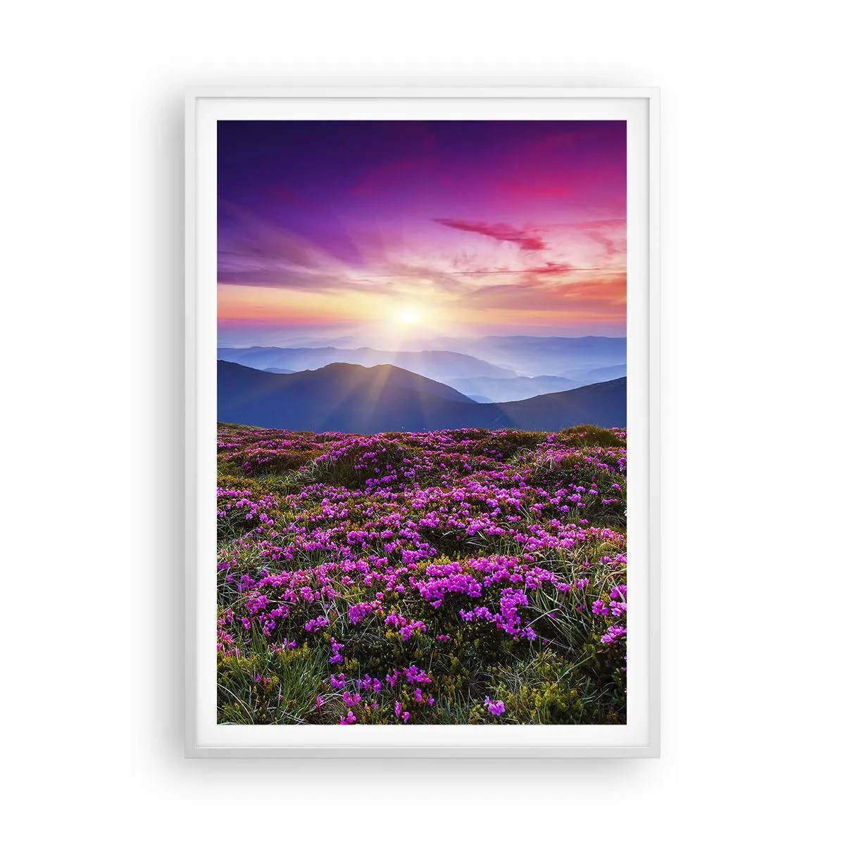 Poszter fekete keretben - A gyógynövények friss fürtjei illatoztak a mezőkről - 70x100 cm