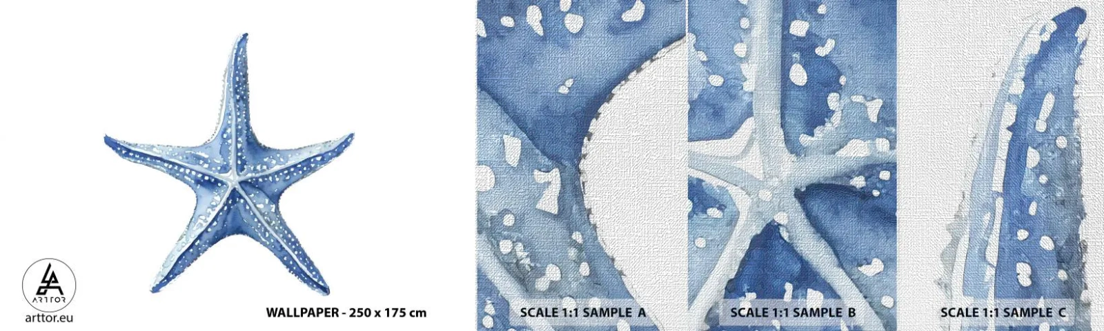 Fotótapéta Minta Premium Canvas - A tenger csillaga - Tengeri csillag, Tengerpart, korallzátony - 100x30 cm