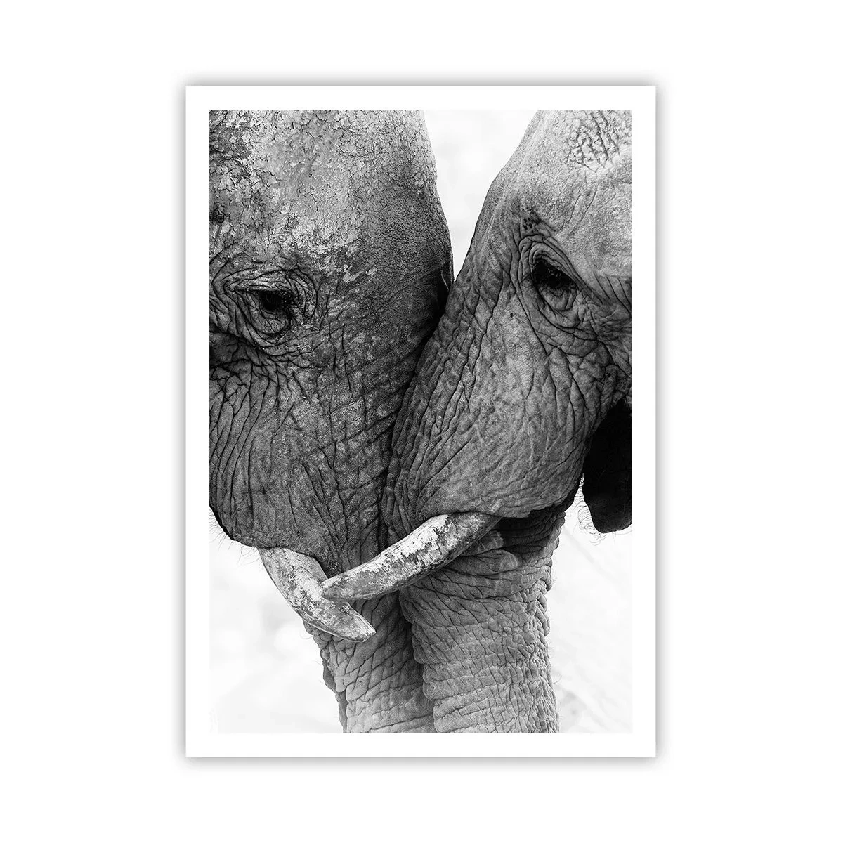 Poszter - Szívélyes vallomás - 70x100 cm