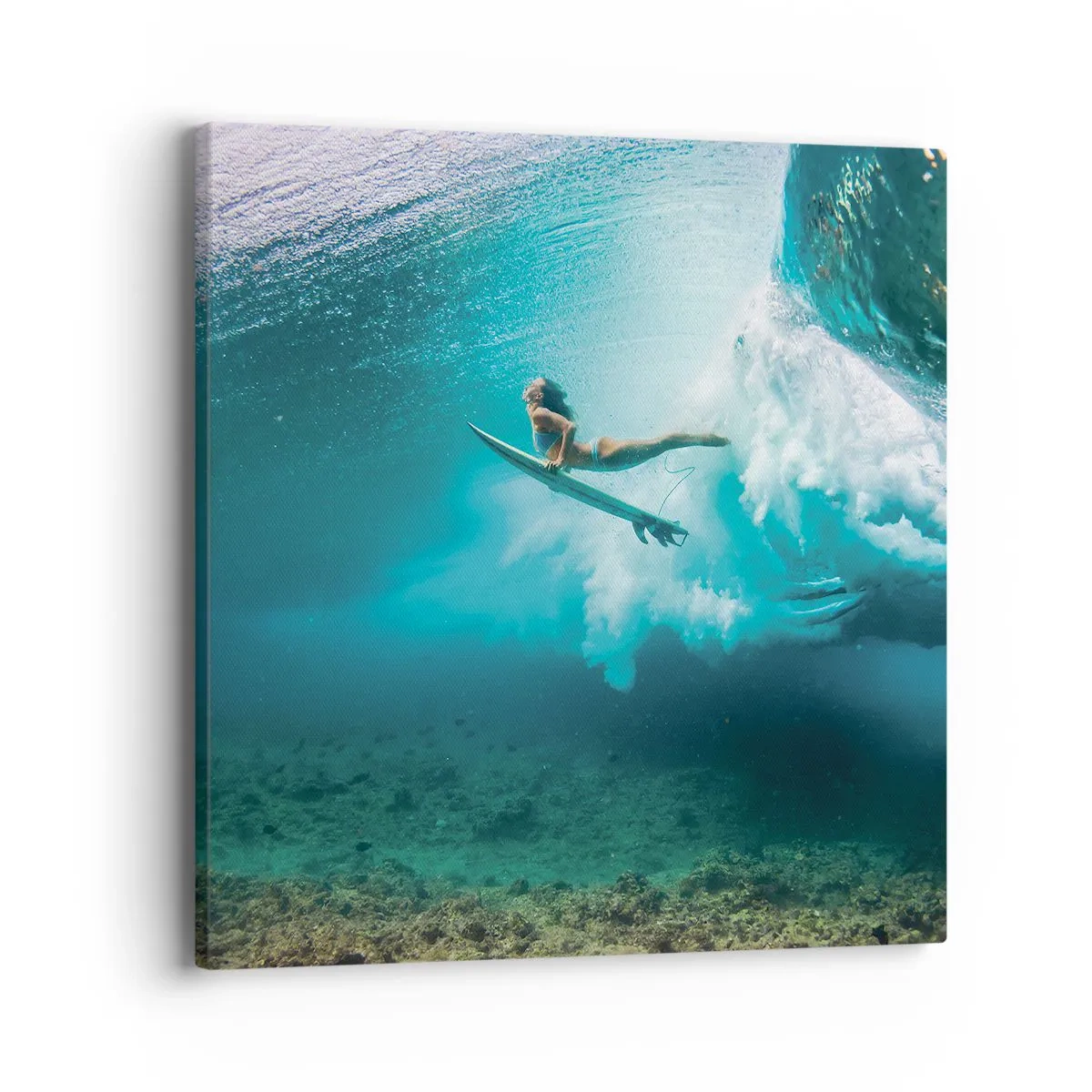 Vászonkép - Vízalatti világ - 40x40 cm