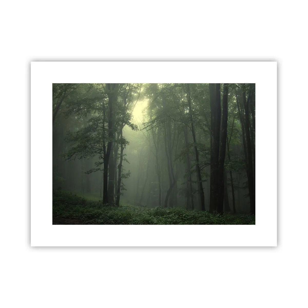 Poszter - Mielőtt felébred - 40x30 cm
