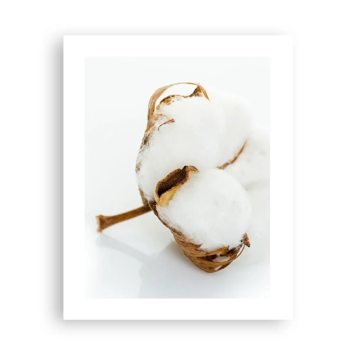 Poszter - Lágy természetű - 40x50 cm