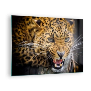 Üveg kép - Közeli kép egy agresszív leopárdról, tiszta részletekkel - 70x50cm - Maradj távol, figyelmeztetlek! - Modern fali dekoráció nappalihoz és hálószobához ARTTOR
