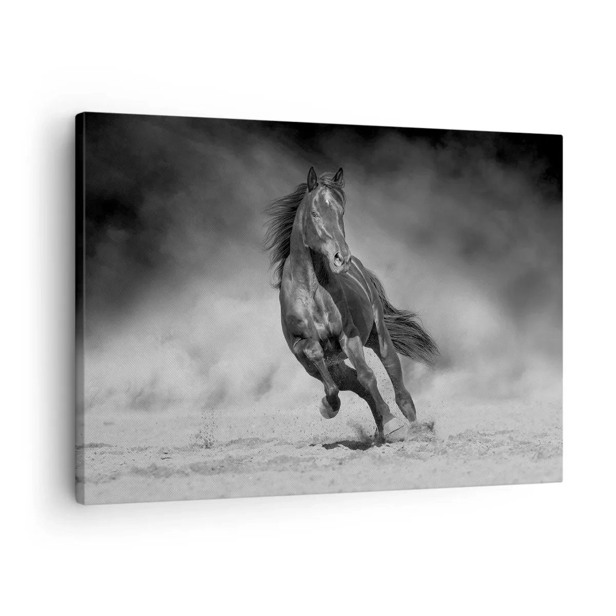 Vászonkép - Egy fekete-fehér ló vágtat a homokon - 70x50cm - Az emírhez méltó - Modern fali dekoráció nappalihoz és hálószobához ARTTOR