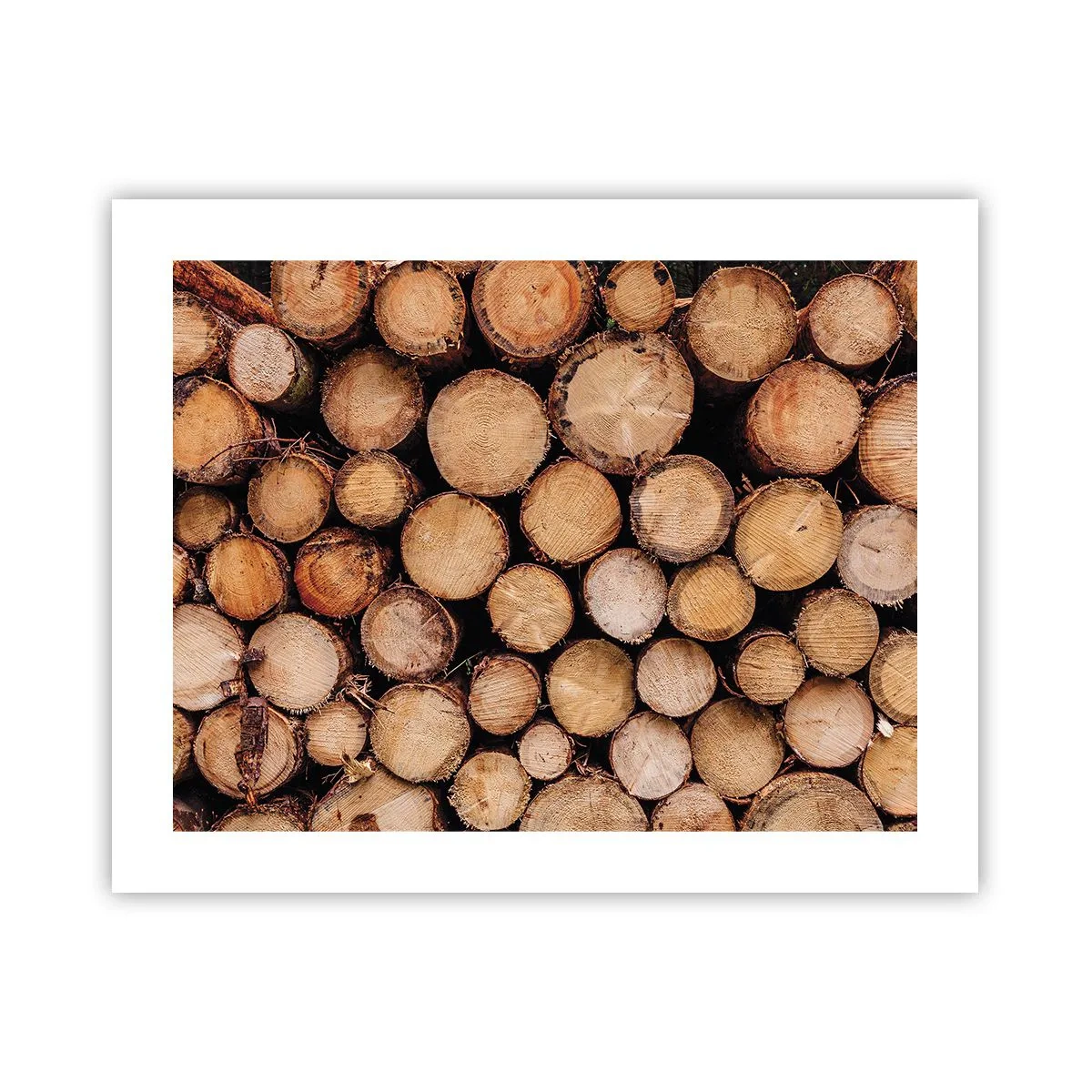 Poszter - Egy új kezdet - 50x40 cm