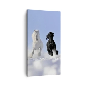 Vászonkép - Fekete-fehér galopp - 45x80 cm