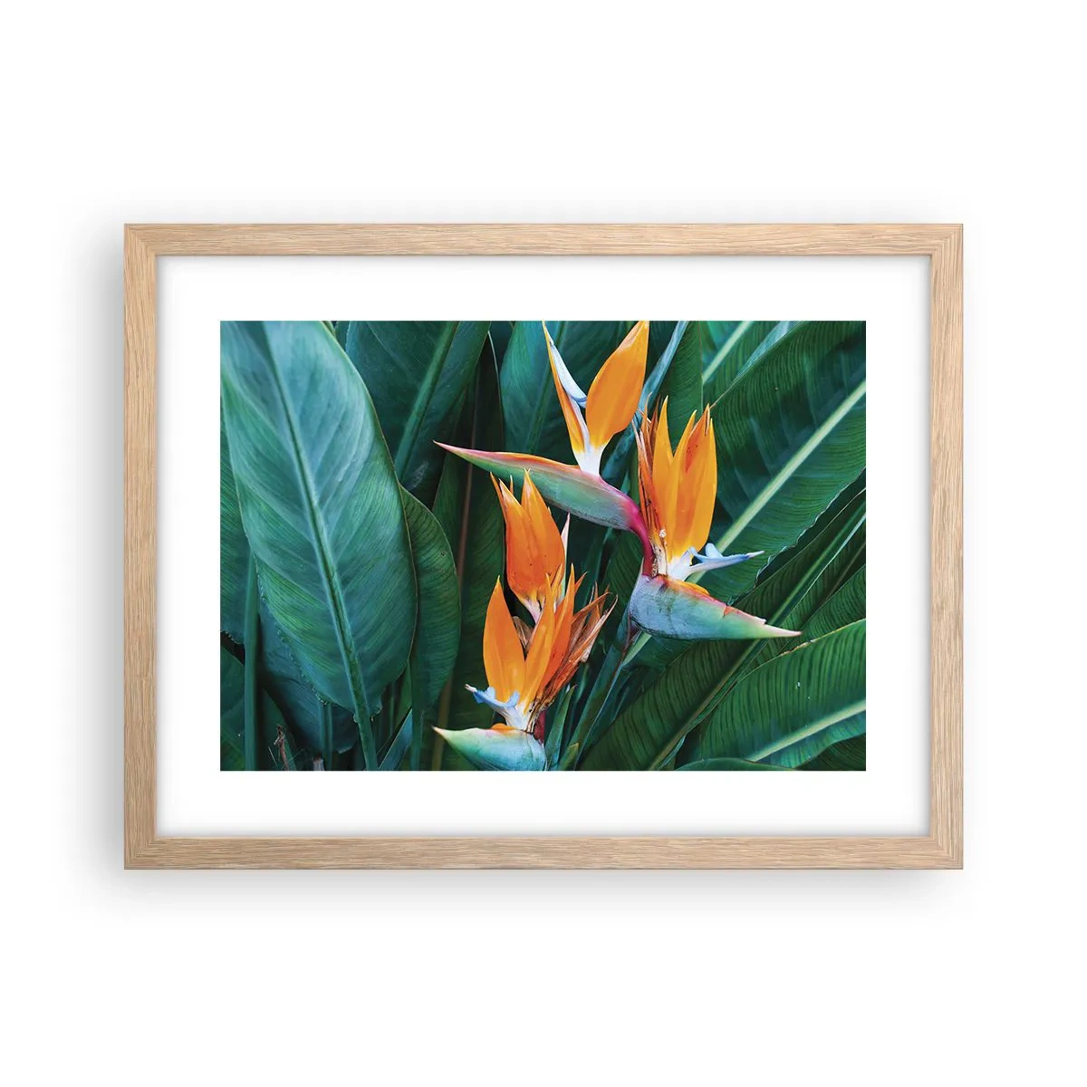 Poszter világos tölgy keretben - Virág vagy madár? - 40x30 cm