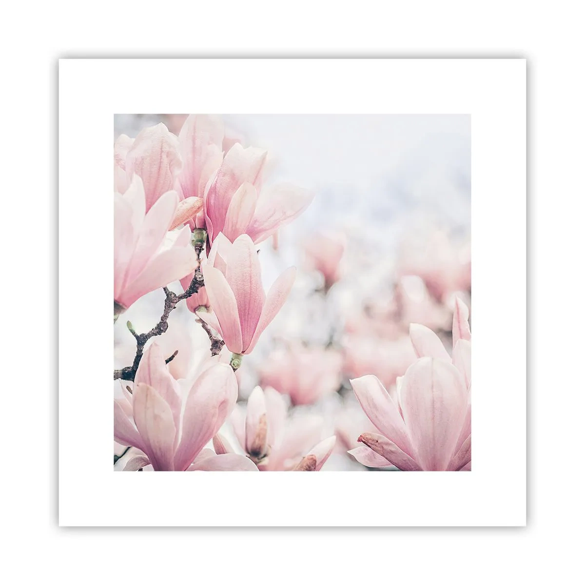 Poszter - A finomság eszménye - 30x30 cm