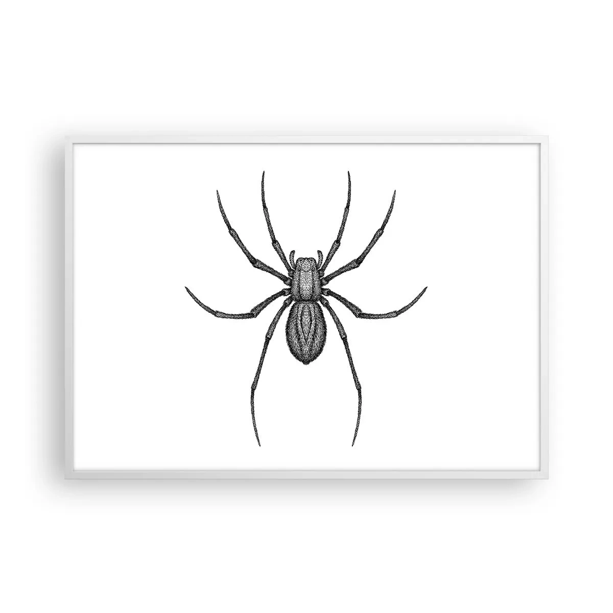 Poszter fekete keretben - Zavaró precizitás - 100x70 cm