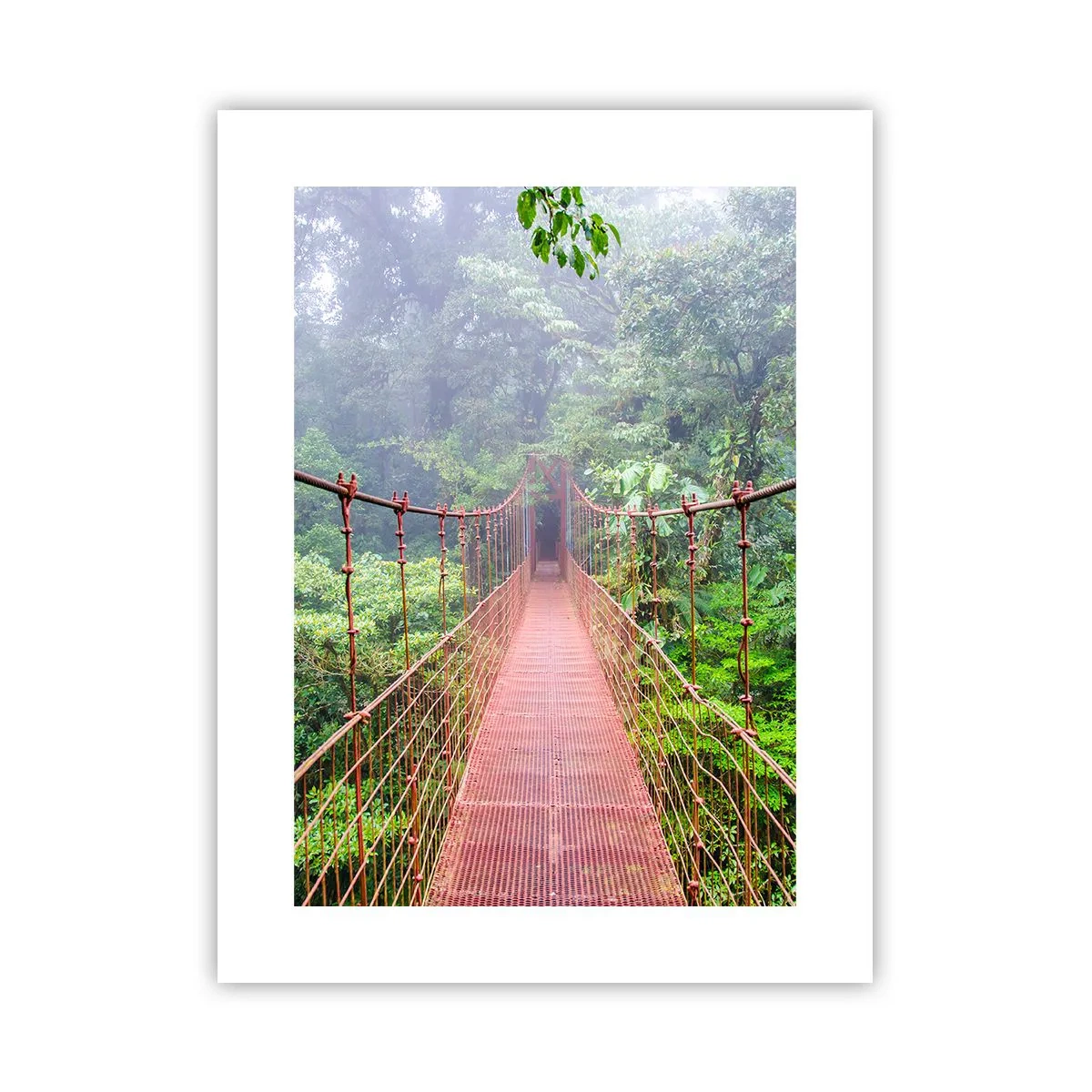 Poszter - A lomkoronák fölé függesztve - 30x40 cm