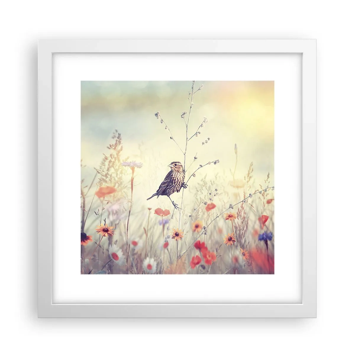 Poszter fekete keretben - Madárportré egy réttel a háttérben - 30x30 cm