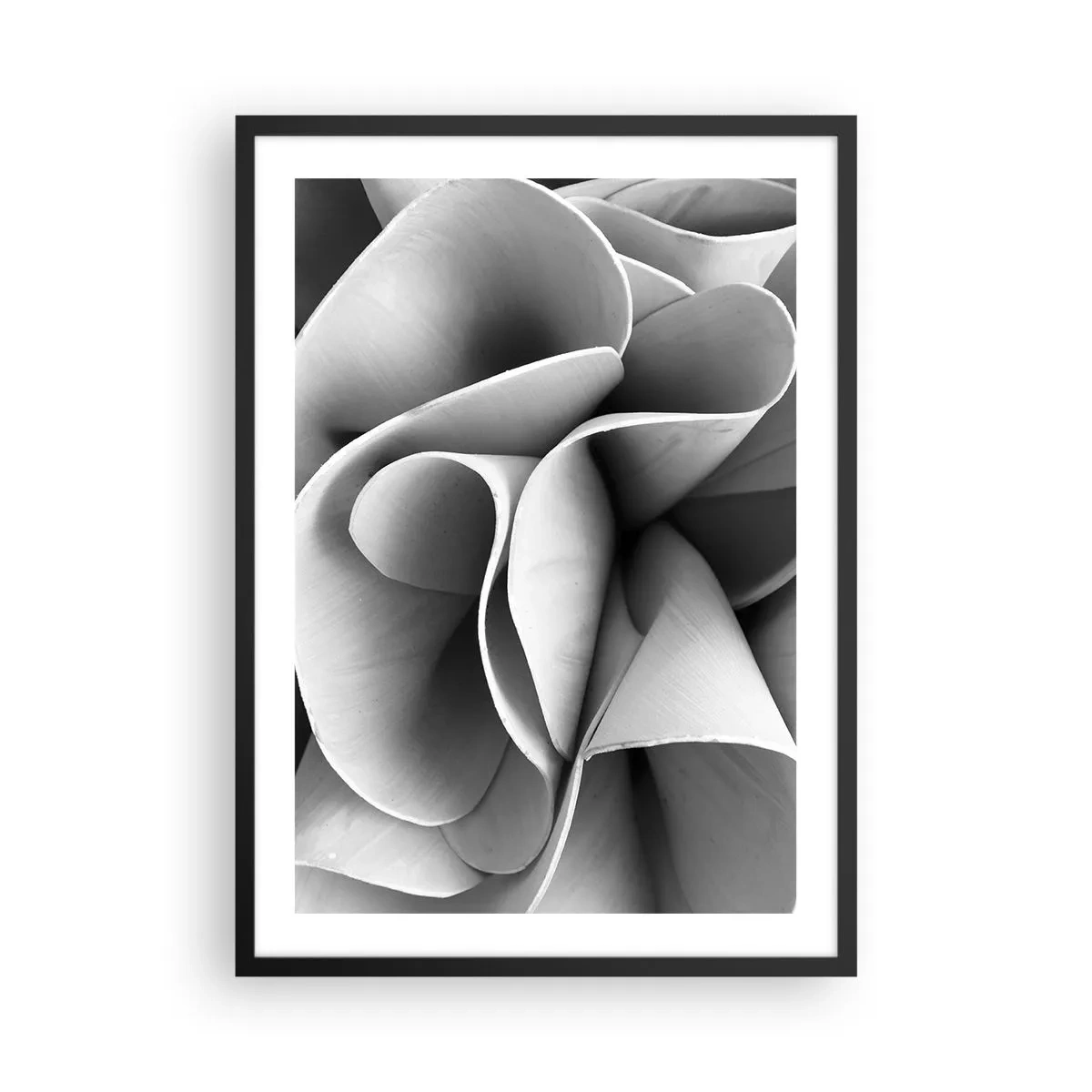 Poszter fehér keretben - Absztrakt szirmok szürke árnyalatokban - 50x70cm - Az űrben történik - Modern fali dekoráció nappalihoz és hálószobához ARTTOR