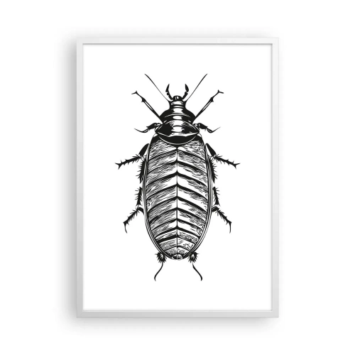 Poszter fekete keretben - Micsoda példány! - 50x70 cm