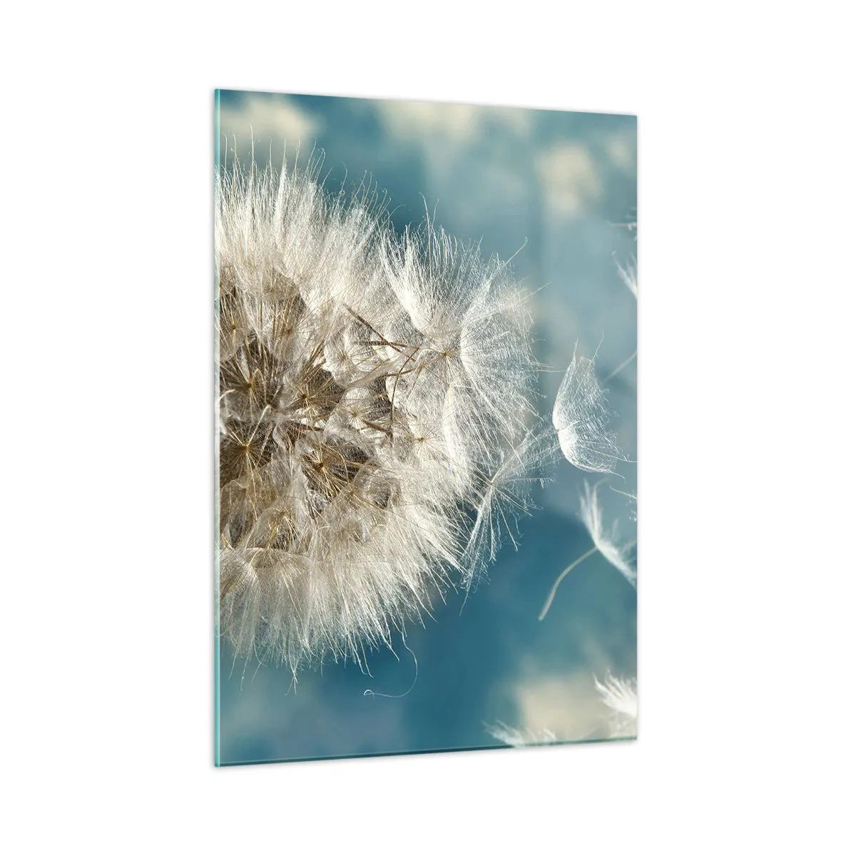 Üveg kép - Angyal lehelete - 50x70 cm