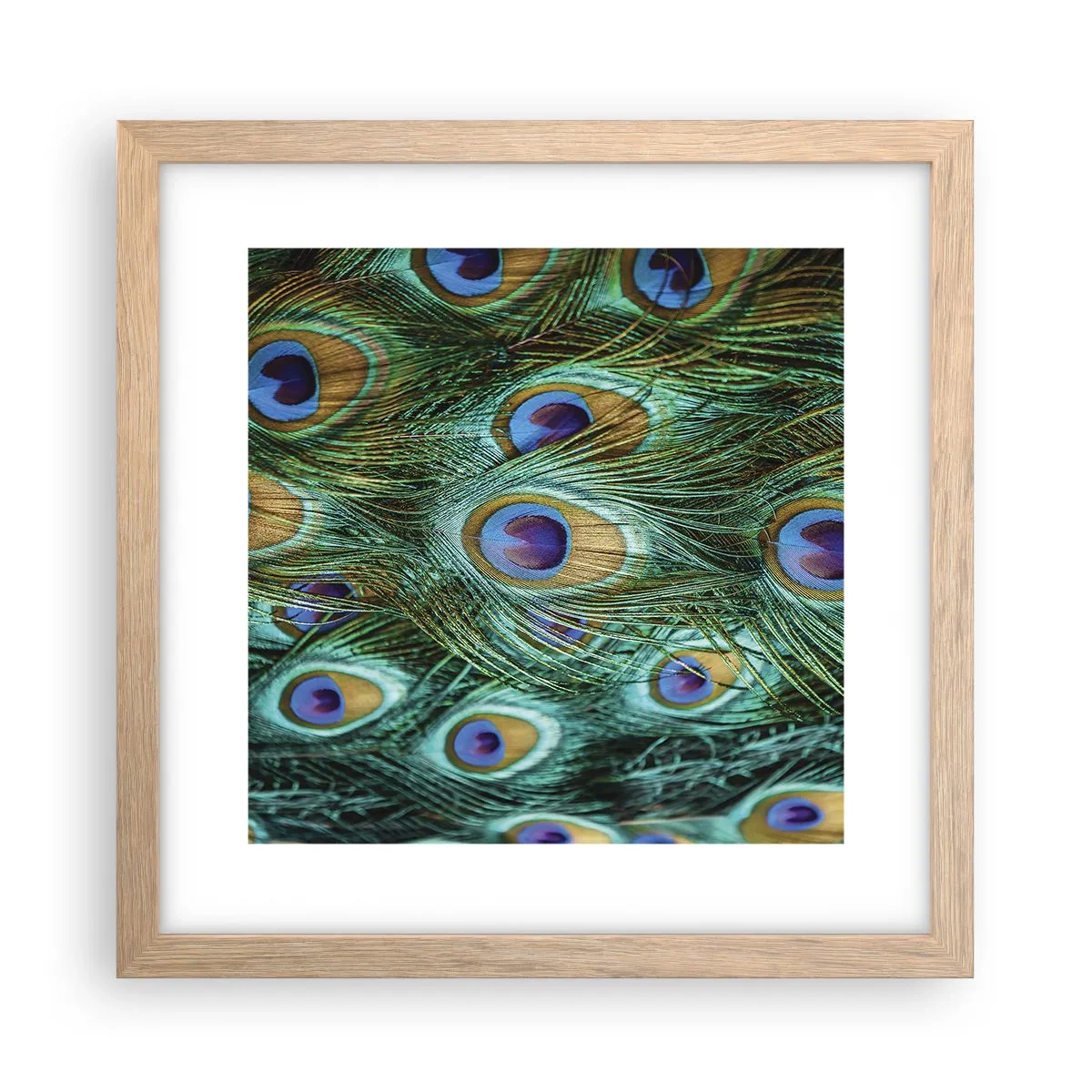 Poszter világos tölgy keretben - Pávaszemű pillantás - 30x30 cm