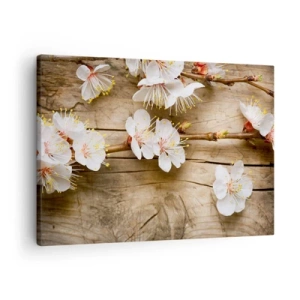 Vászonkép - Virágzó cseresznyefák ágai egy fából készült sakktáblán háttér - 70x50cm - És tavasz lett - Modern fali dekoráció nappalihoz és hálószobához ARTTOR