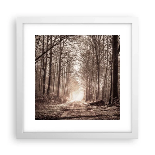 Poszter fekete keretben - Erdei katedrális - 30x30 cm