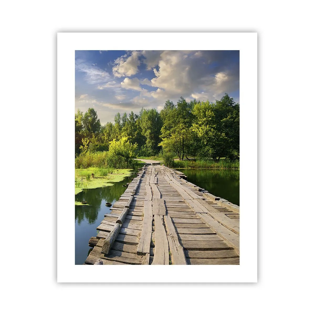 Poszter - Nyár, mindenhol nyár - 40x50 cm