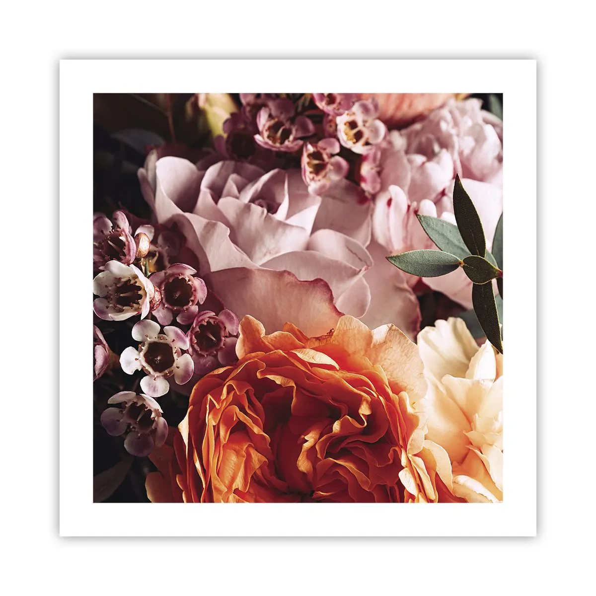 Poszter - Szépségbe burkolózva - 50x50 cm