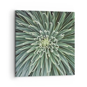 Vászonkép - Csillag születik - 70x70 cm