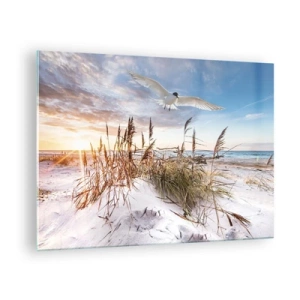 Üveg kép - Egy madár repül a dűnék felett naplementekor - 70x50cm - A tengeri szél - Modern fali dekoráció nappalihoz és hálószobához ARTTOR